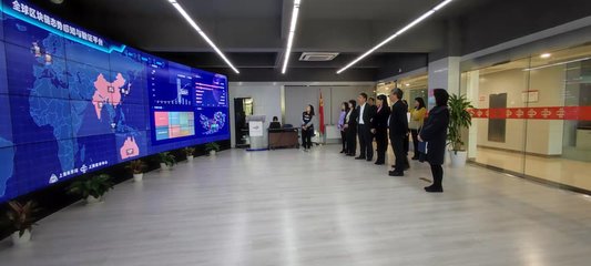 蔡佳麗副區長率隊赴上海開展區塊鏈技術招商考察，助力區域數字經濟發展