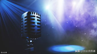 音樂類網(wǎng)絡(luò)文化經(jīng)營許可證審批機構(gòu)及互聯(lián)網(wǎng)信息咨詢服務(wù)